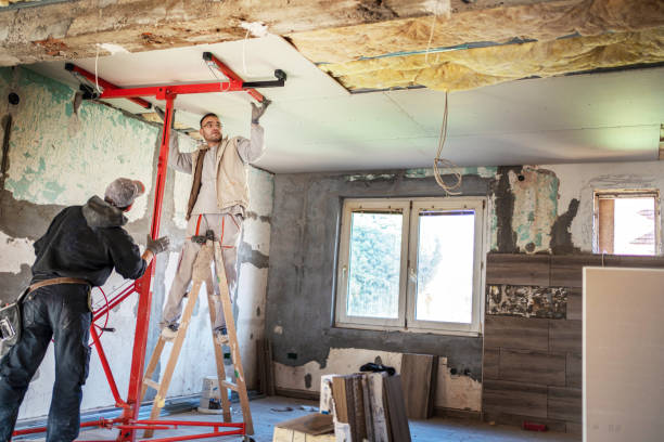 Best Eco-Friendly Insulation in Cloverly, MD