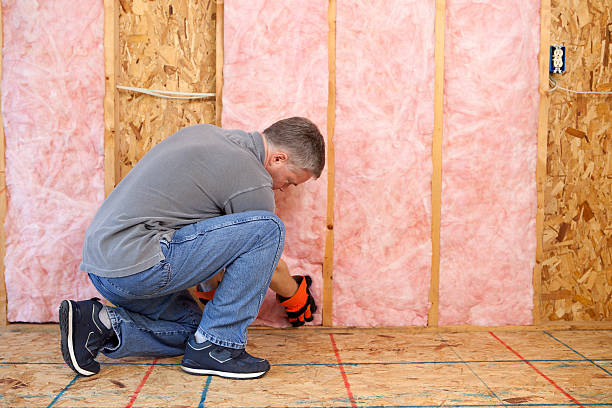 Types of Insulation We Offer in Cloverly, MD
